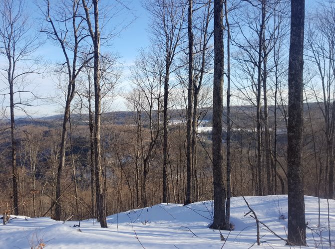 0 West Hill Road Bethel, VT 05032 - Photo 6 of 11