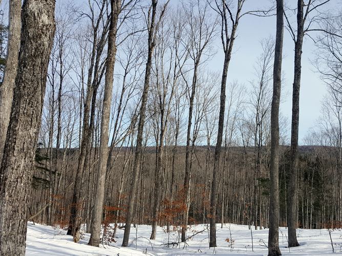 0 West Hill Road Bethel, VT 05032 - Photo 7 of 11