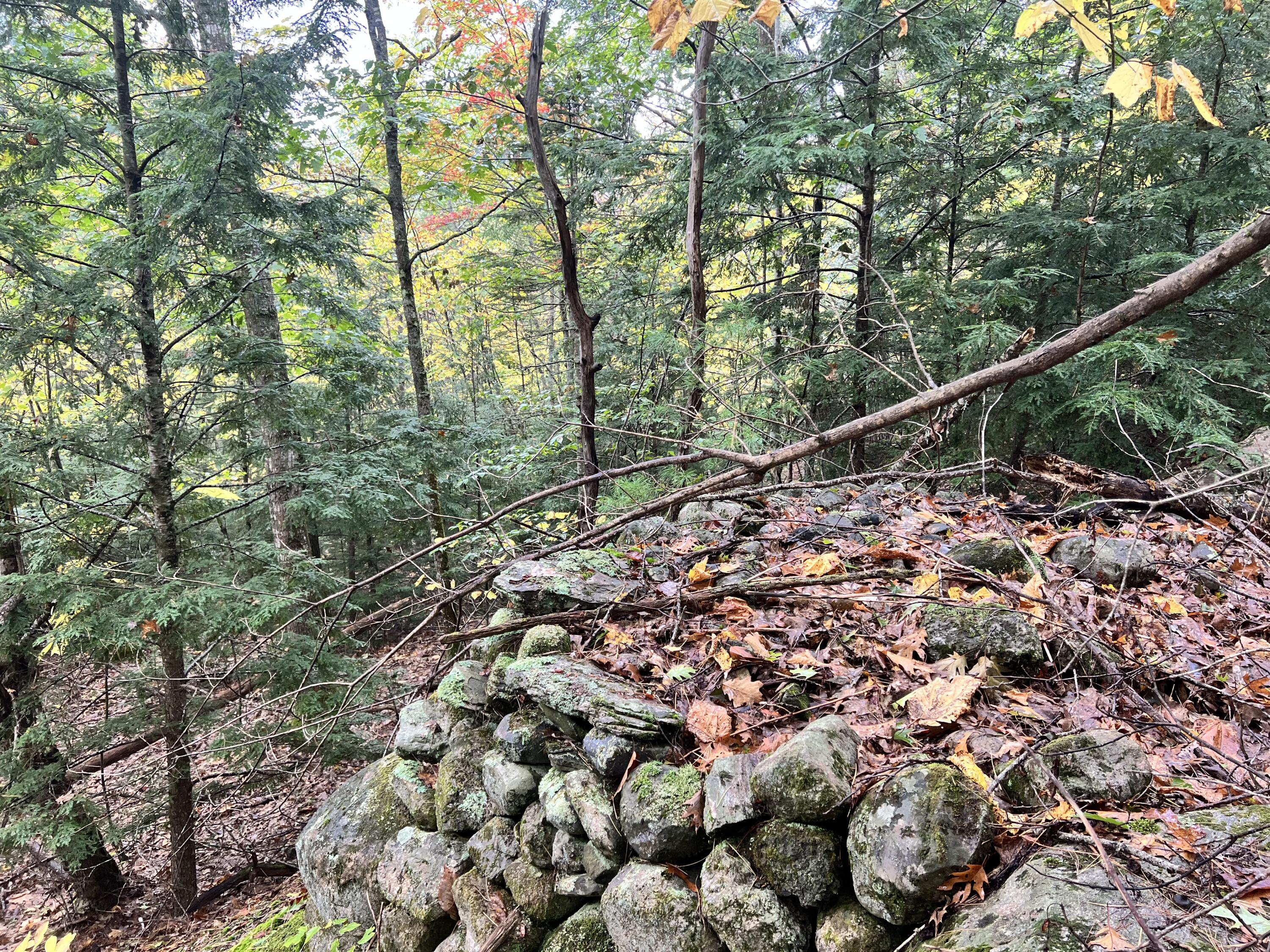 Lot 9 A Ridge Liberty, ME 04949 - Photo 4 of 11 IMG-6973