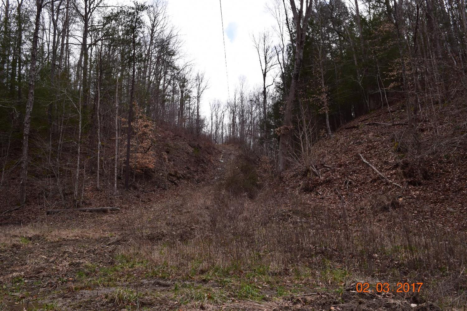 2590 Ratliff Road Frenchburg, KY 40322 - Photo 4 of 5 Photo 4