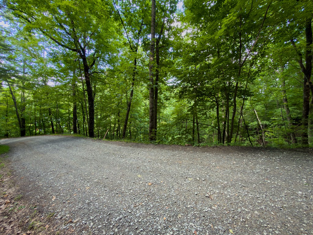 Lot 18 Cub Trail Cherry Log, GA 30522 - Photo 8 of 17