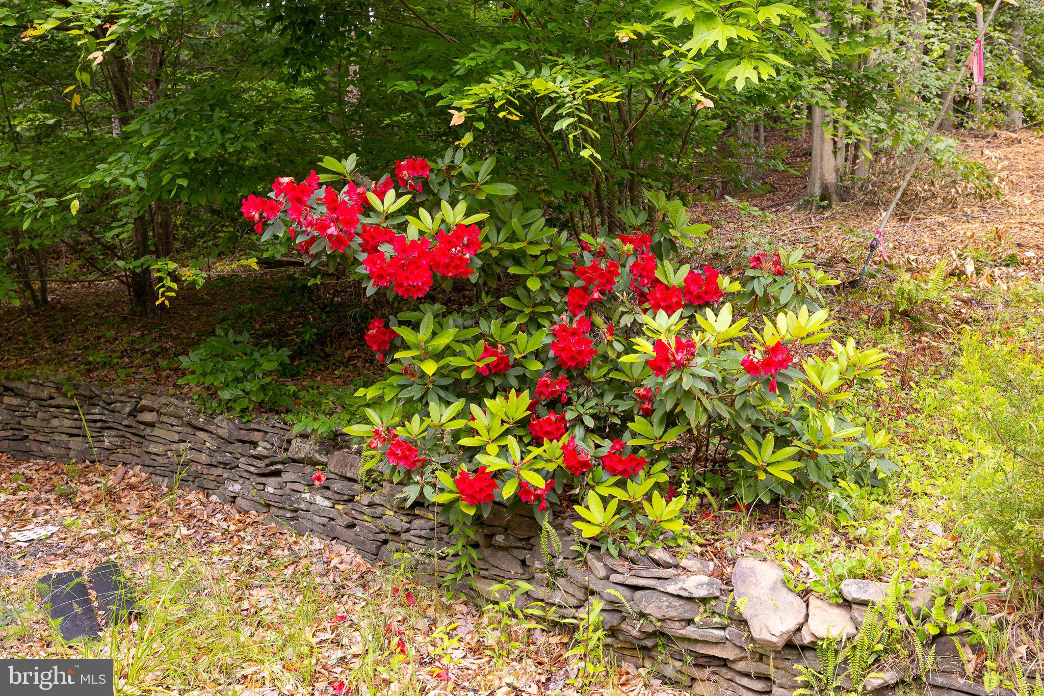 581 Decatur Road Stafford, VA 22554 - Photo 8 of 9