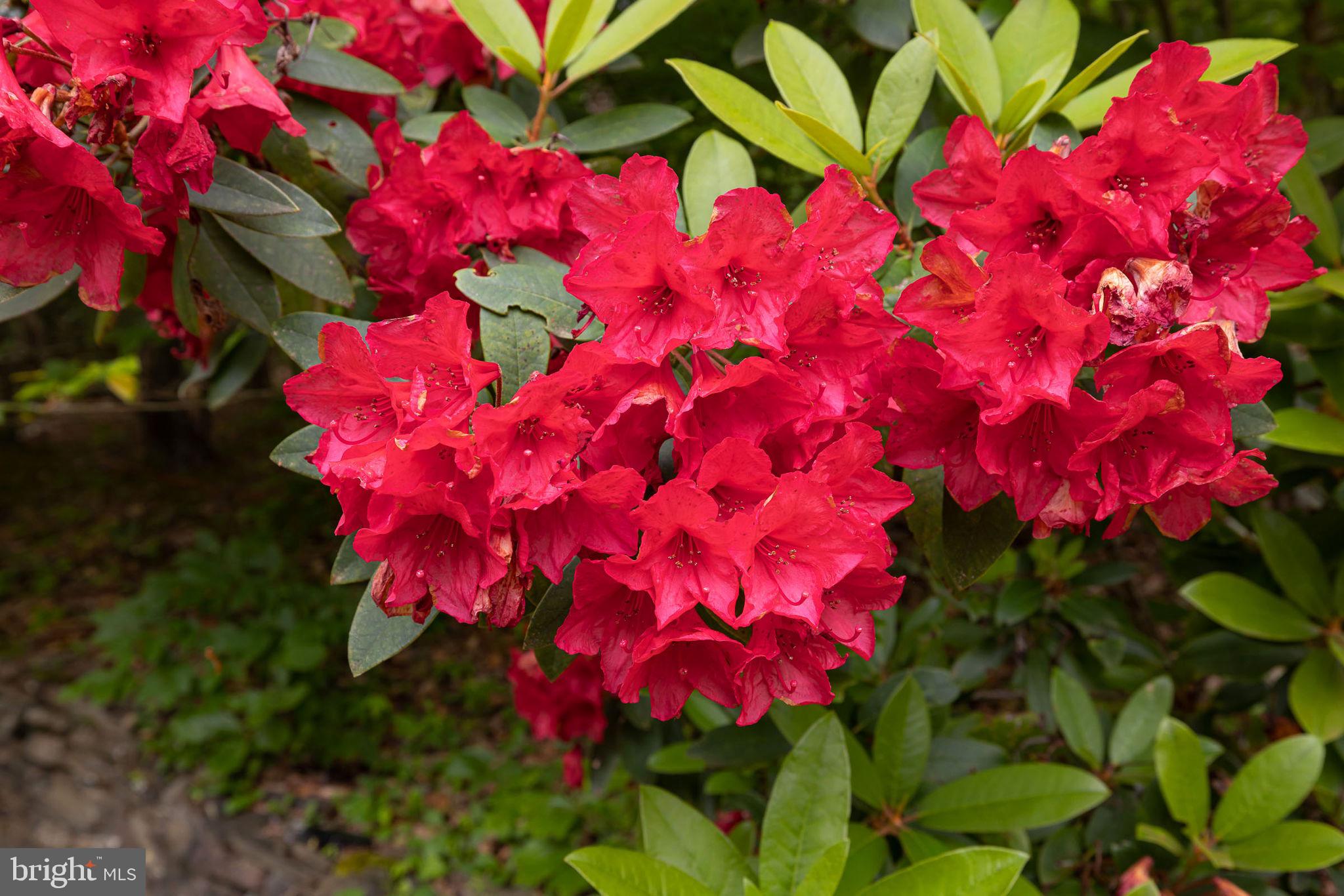 581 Decatur Road Stafford, VA 22554 - Photo 9 of 9