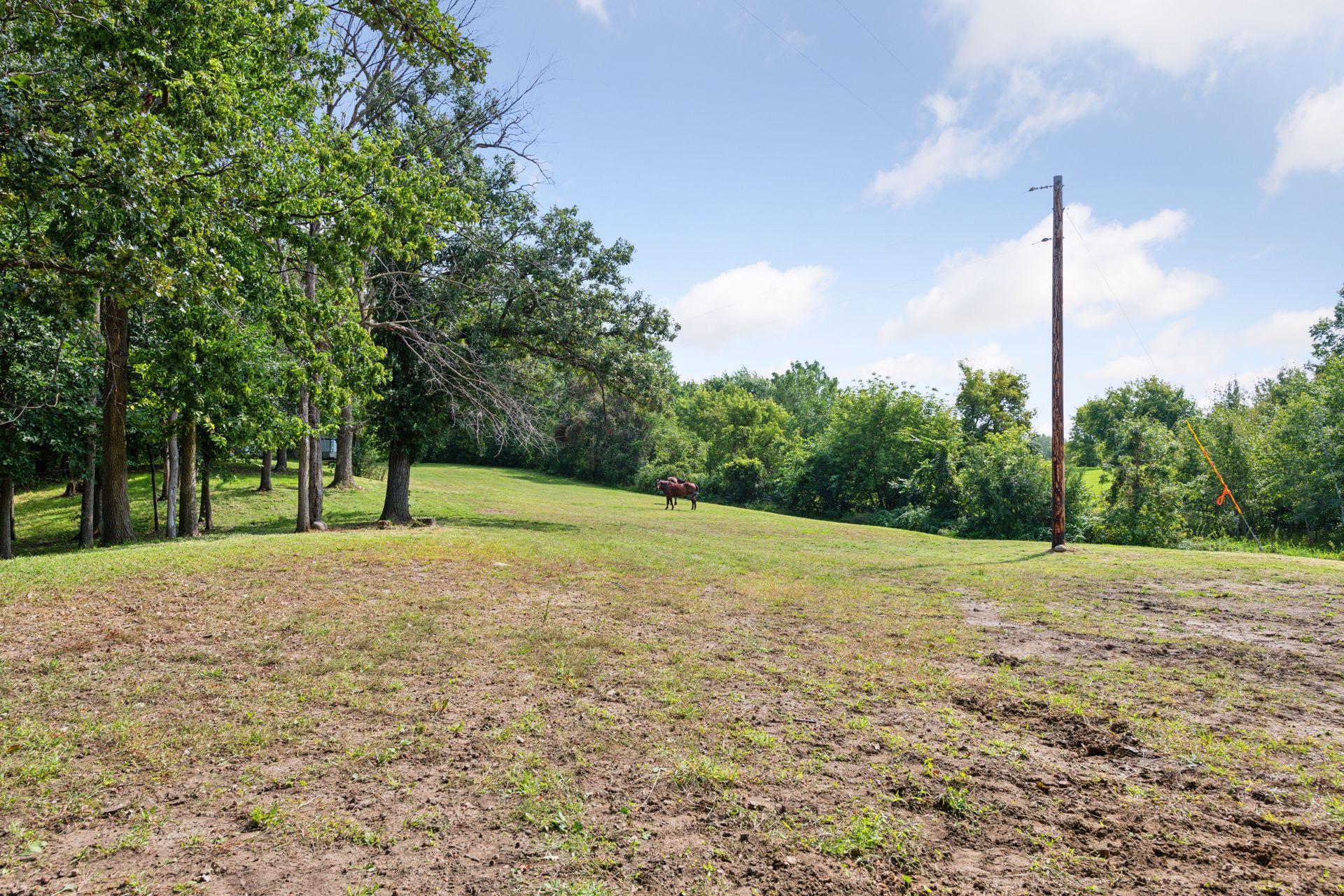 2625 Valley Road Independence, MN 55359 - Photo 56 of 67