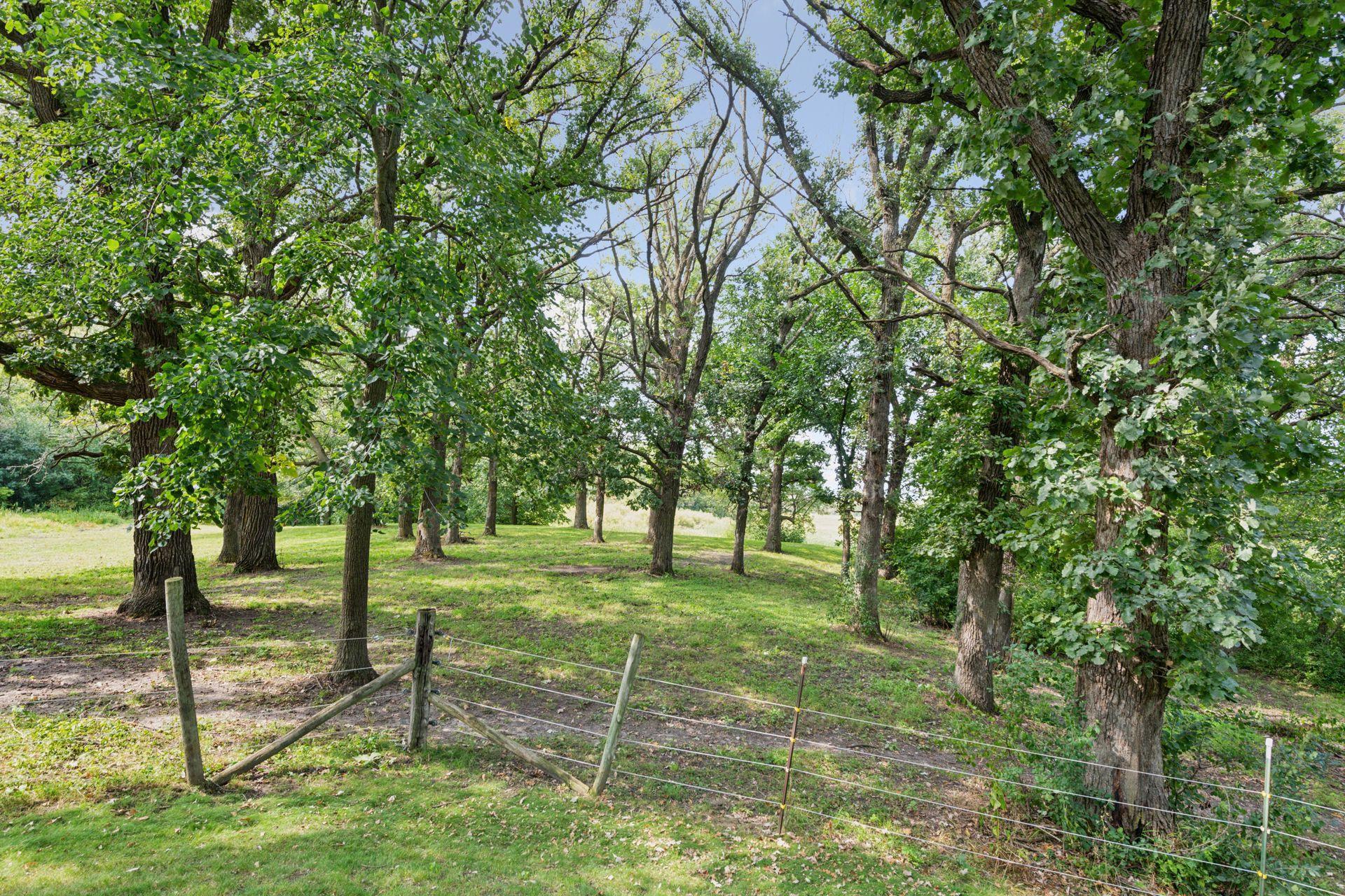 2625 Valley Road Independence, MN 55359 - Photo 62 of 67