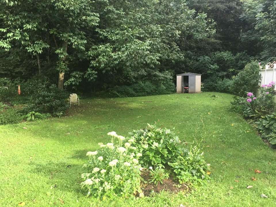 8877 Briery Branch Road Dayton, VA 22821 - Photo 11 of 12 a fire hydrant in the middle of a field