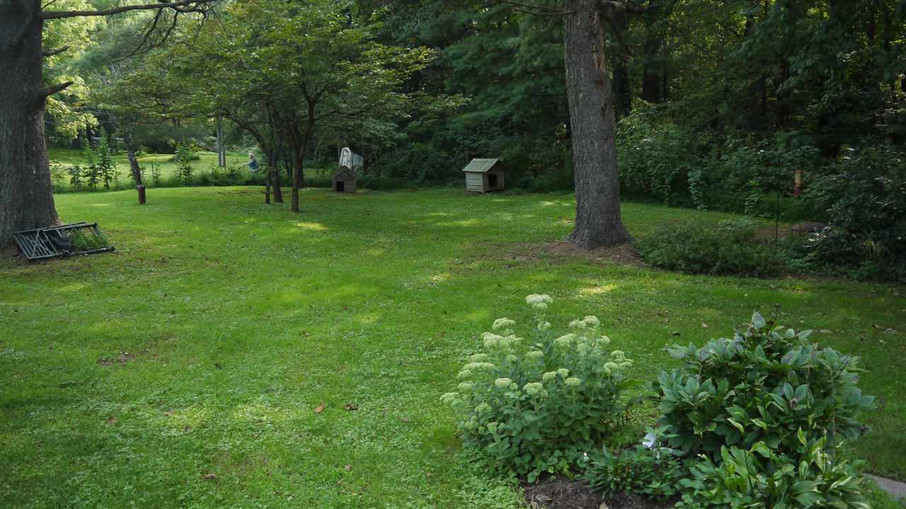 8877 Briery Branch Road Dayton, VA 22821 - Photo 12 of 12 a view of a tree in a yard