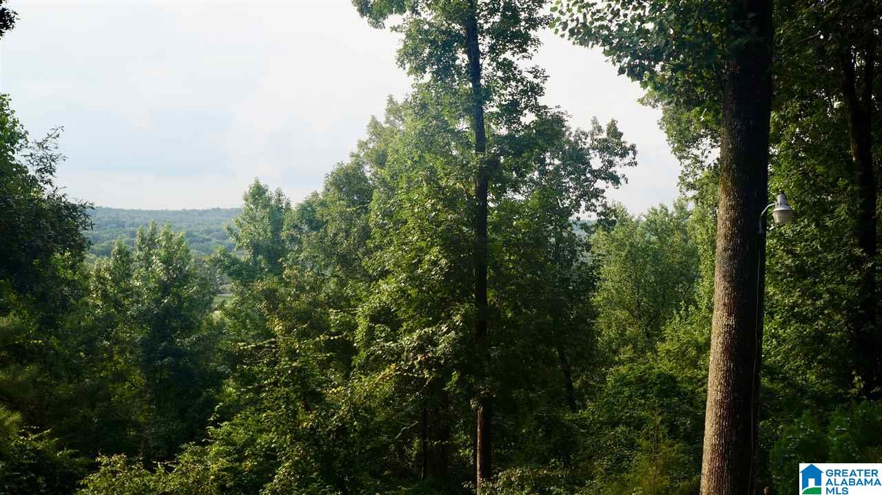 365 Signal Trail Pelham, AL 35124 - Photo 33 of 33