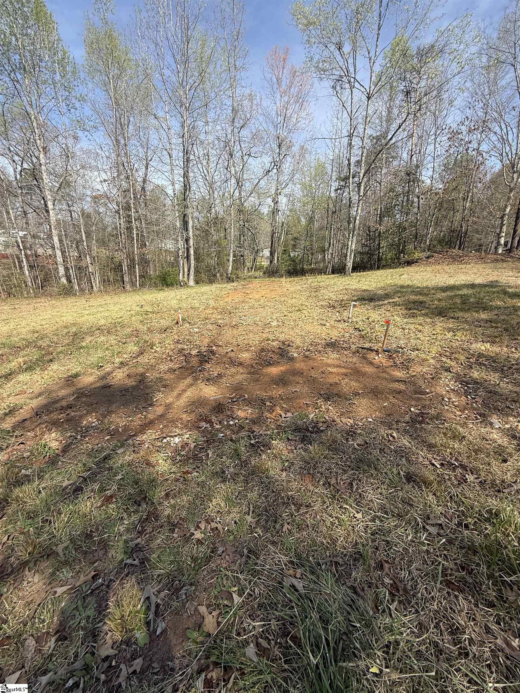 263 Jenny Lane Easley, SC 29640 - Photo 4 of 8