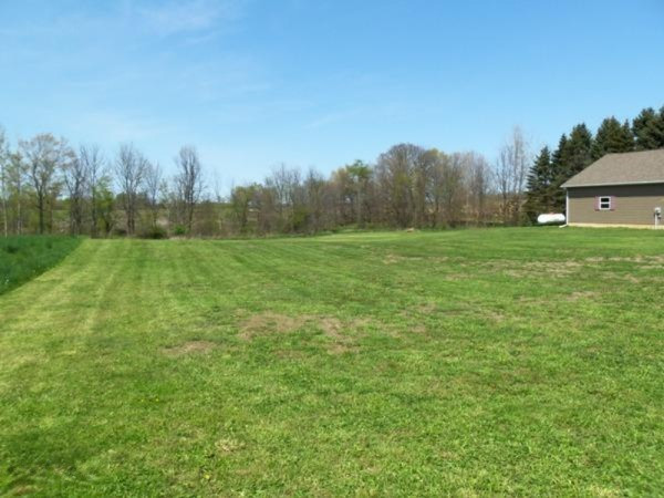 990 Bowers Road Bronson, MI 49028 - Photo 35 of 40 101_3289