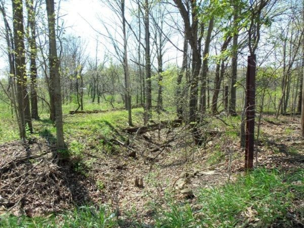 990 Bowers Road Bronson, MI 49028 - Photo 39 of 40 101_3295