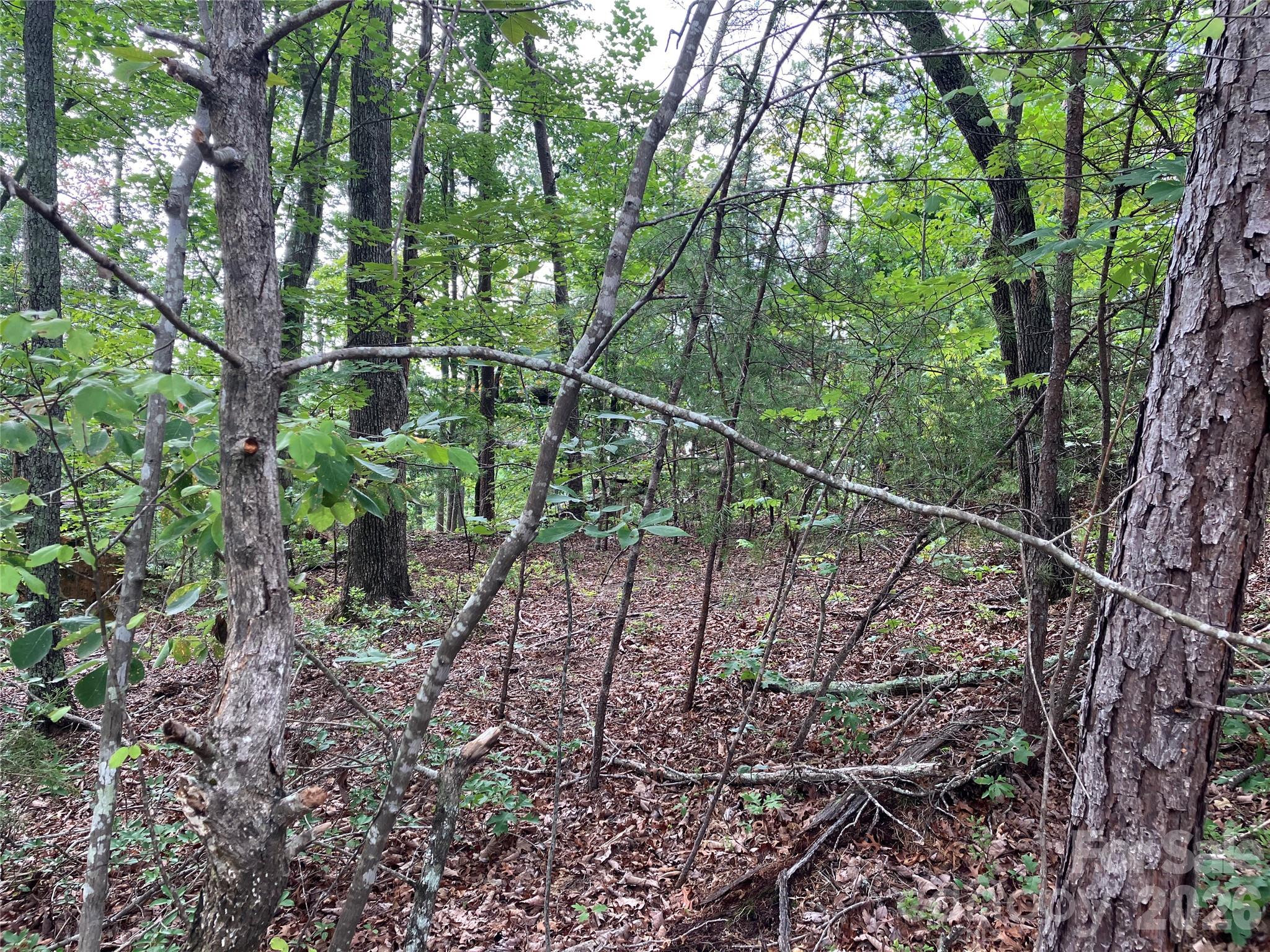 0 Tyler Terrace, Unit LOT 11 Rutherfordton, NC 28139 - Photo 3 of 17 Gallery Image 3