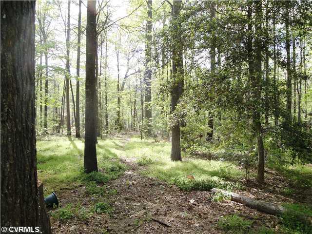6017 Country Walk Road Midlothian, VA 23112 - Photo 10 of 12 View - If there is a prettier view than this back yard in all of Woodlake I hope you will e-mail me the location so I can go and see it for myself!