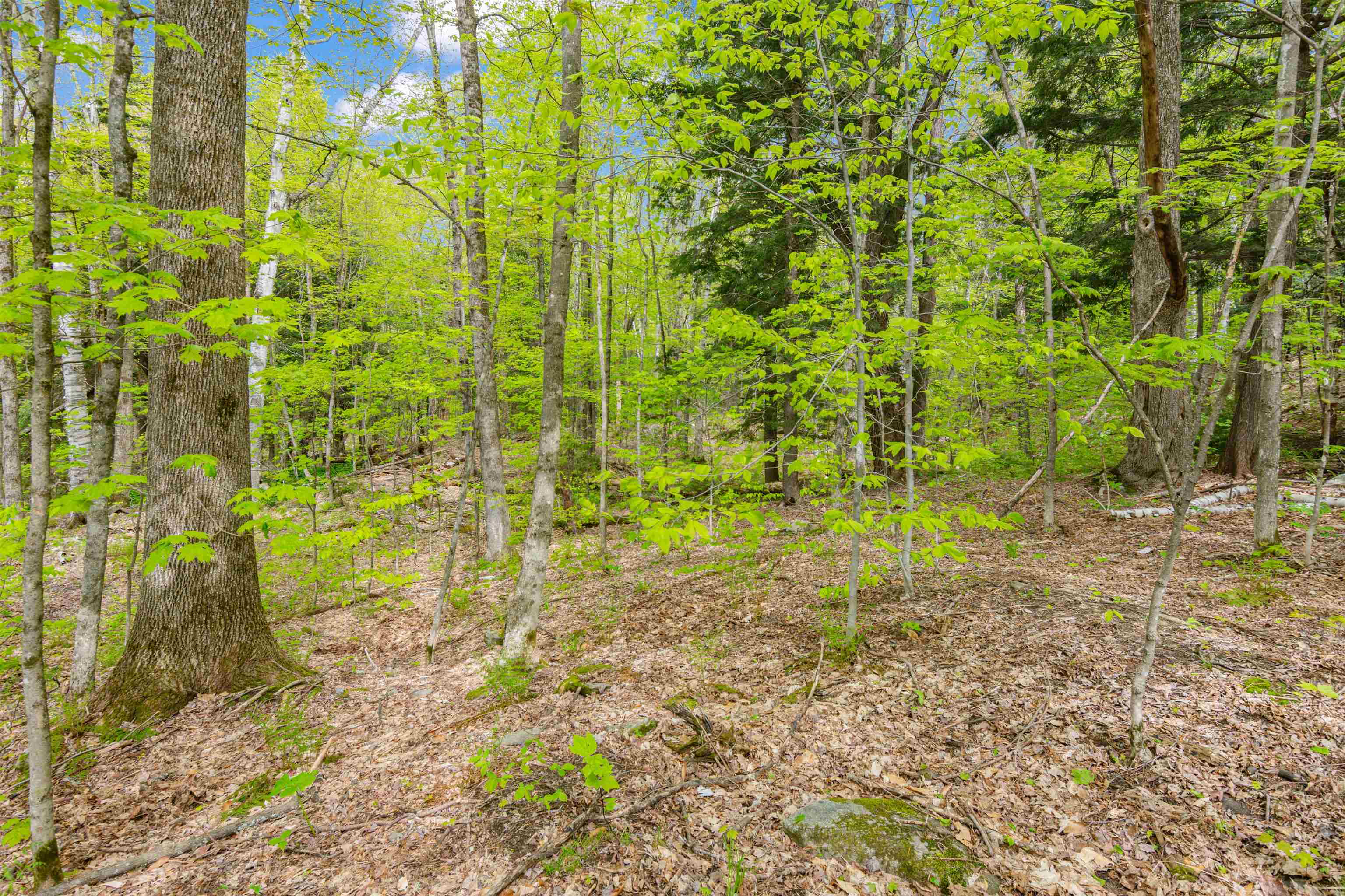0 Phen Basin Road Waitsfield, VT 05673 - Photo 5 of 10