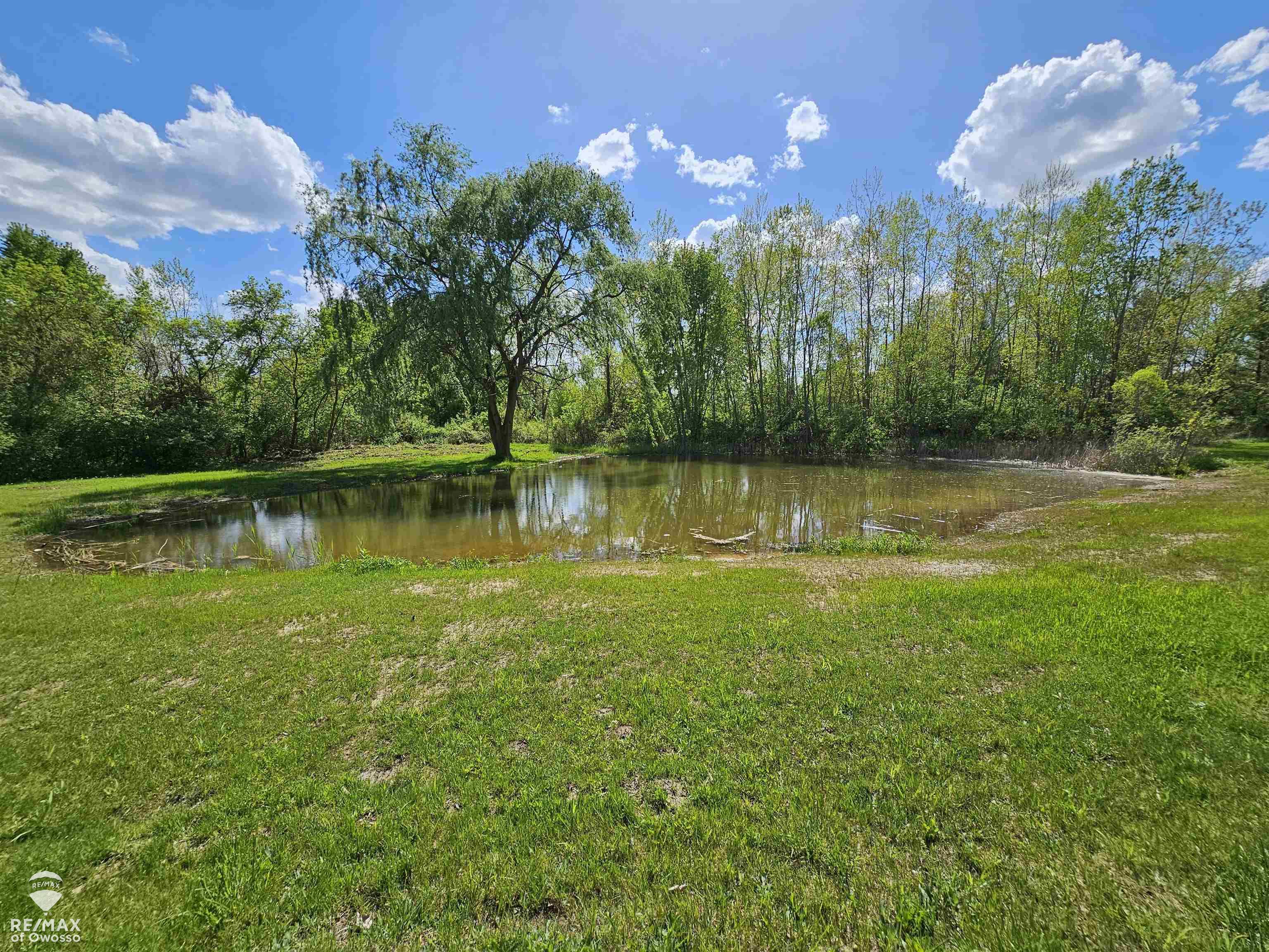 9737 Mason Road Ovid, MI 48866 - Photo 9 of 43