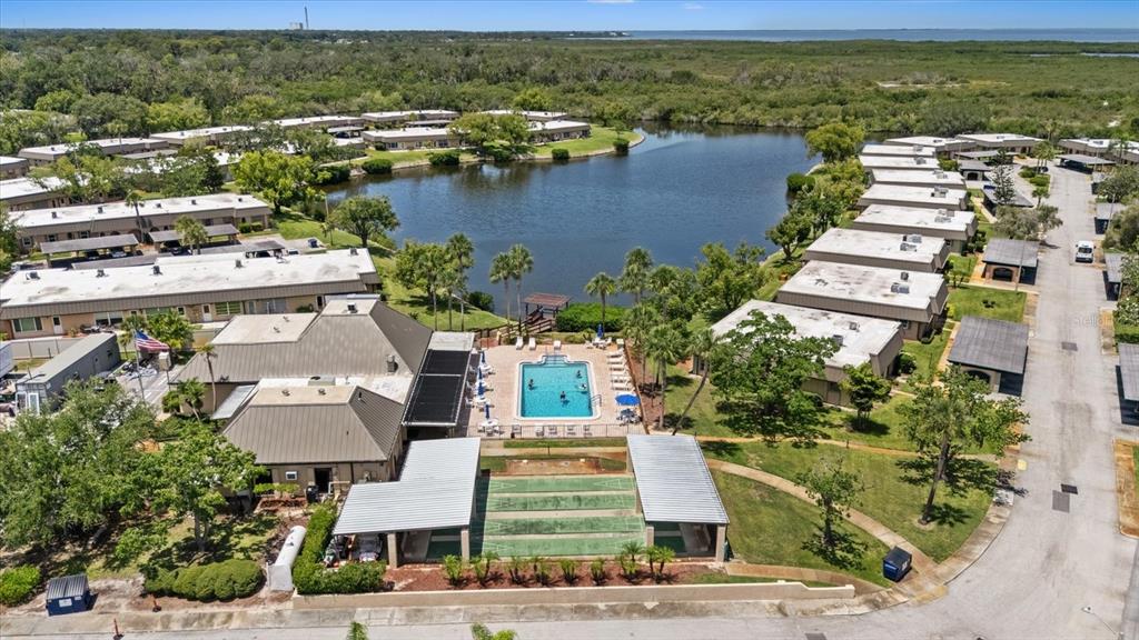4347 Summersun Drive New Port Richey, FL 34652 - Photo 4 of 43