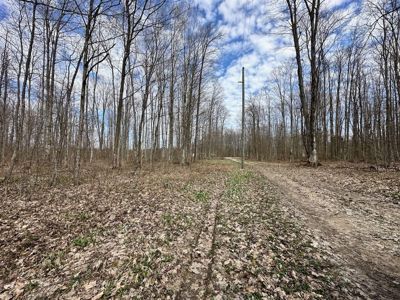 4049 Musser Road Mancelona, MI 49659 - Photo 50 of 50 Gallery Image 50