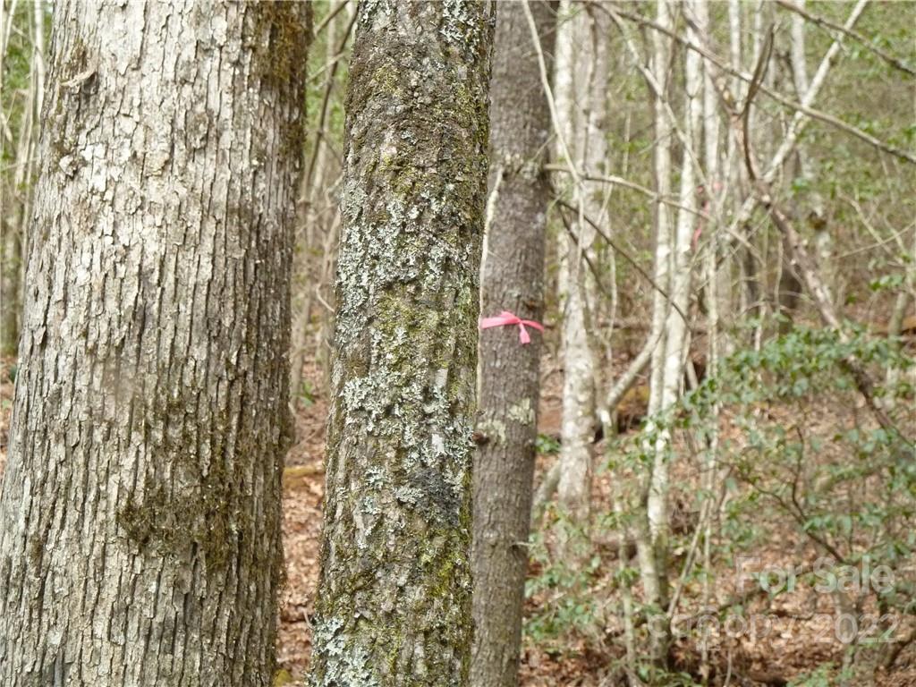 0 Spring Road Rosman, NC 28772 - Photo 16 of 33 Gallery Image 16
