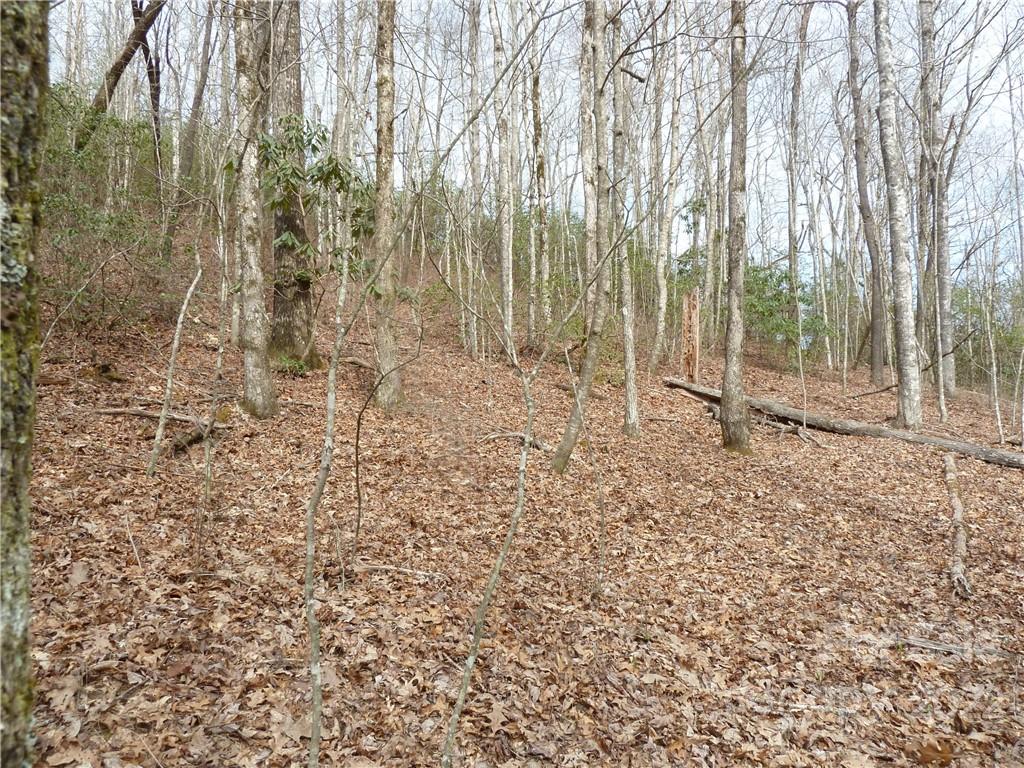 0 Spring Road Rosman, NC 28772 - Photo 17 of 33 Gallery Image 17
