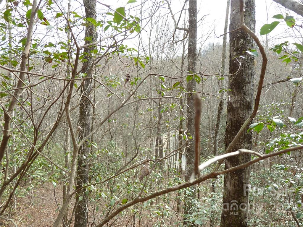 0 Spring Road Rosman, NC 28772 - Photo 21 of 33 Gallery Image 21