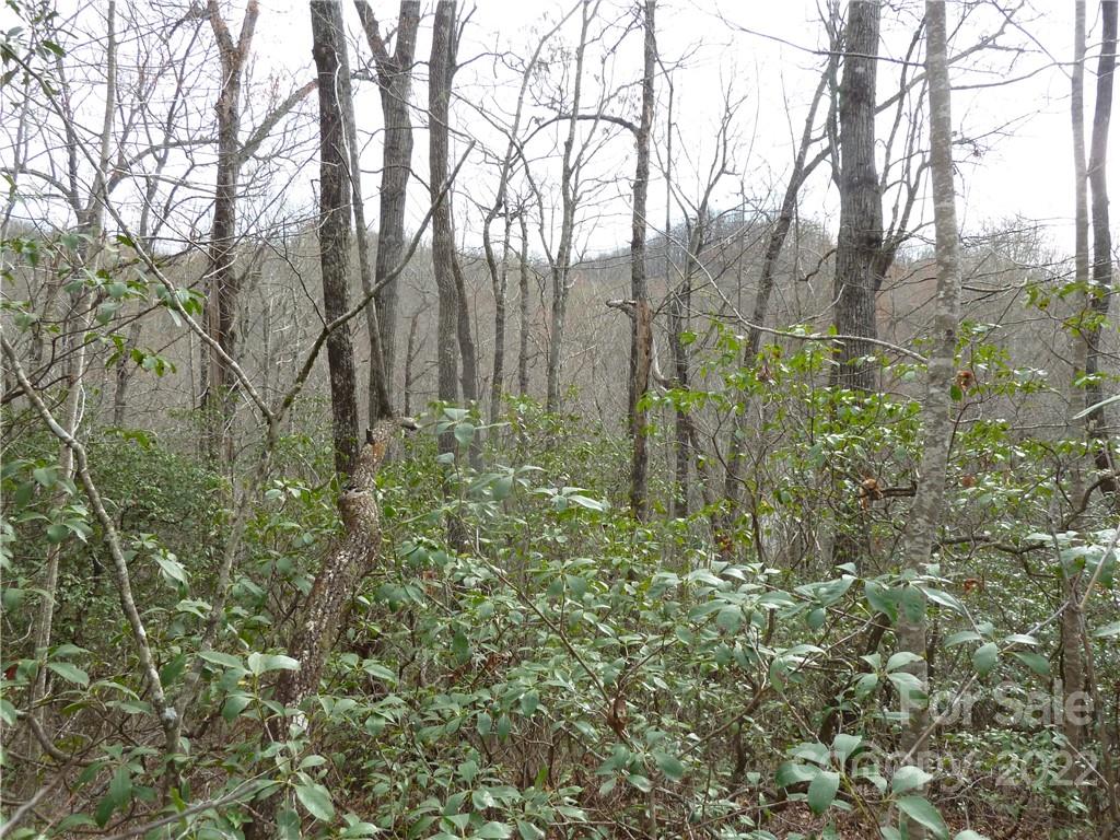 0 Spring Road Rosman, NC 28772 - Photo 24 of 33 Gallery Image 24