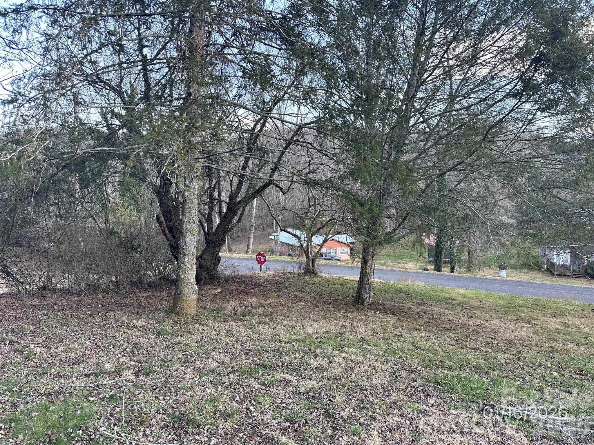 129 Ridgecrest Avenue Marble, NC 28905 - Photo 8 of 24 a backyard of a house with lots of green space
