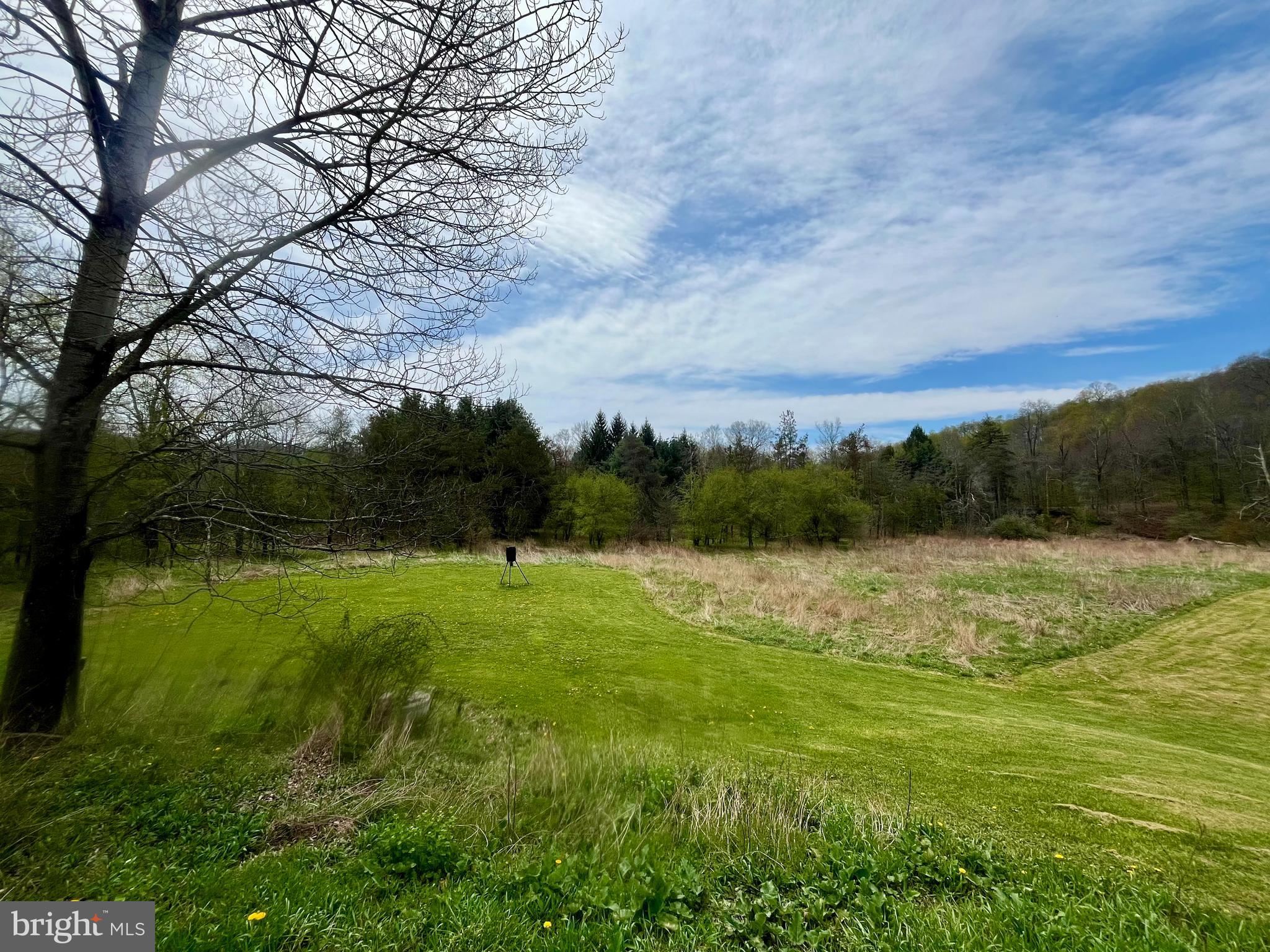 107 Shade Hollow Road Grantsville, MD 21536 - Photo 53 of 56
