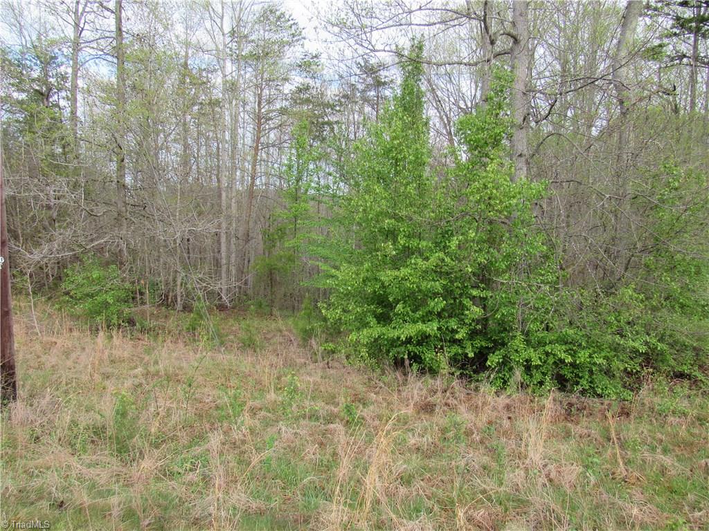 8-acres Cromer Road King, NC 27021 - Photo 2 of 17