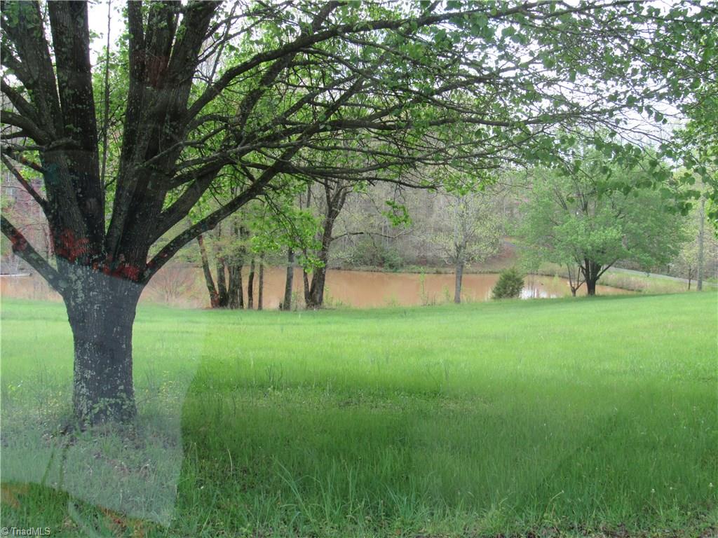 8-acres Cromer Road King, NC 27021 - Photo 11 of 17