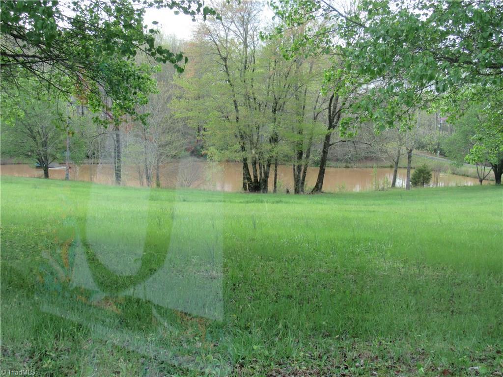 8-acres Cromer Road King, NC 27021 - Photo 12 of 17