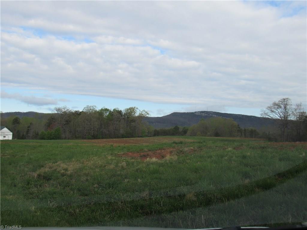 8-acres Cromer Road King, NC 27021 - Photo 13 of 17