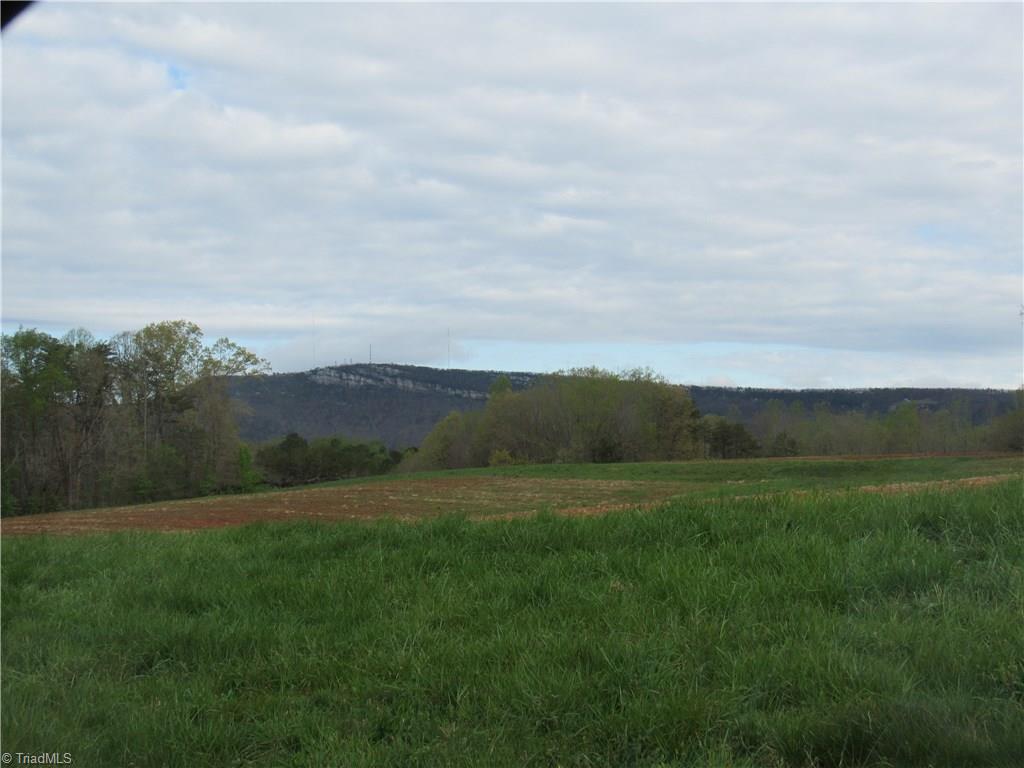 8-acres Cromer Road King, NC 27021 - Photo 14 of 17