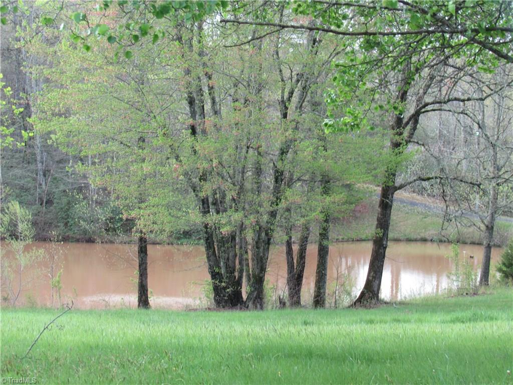 8-acres Cromer Road King, NC 27021 - Photo 16 of 17 View of pond across street from this property