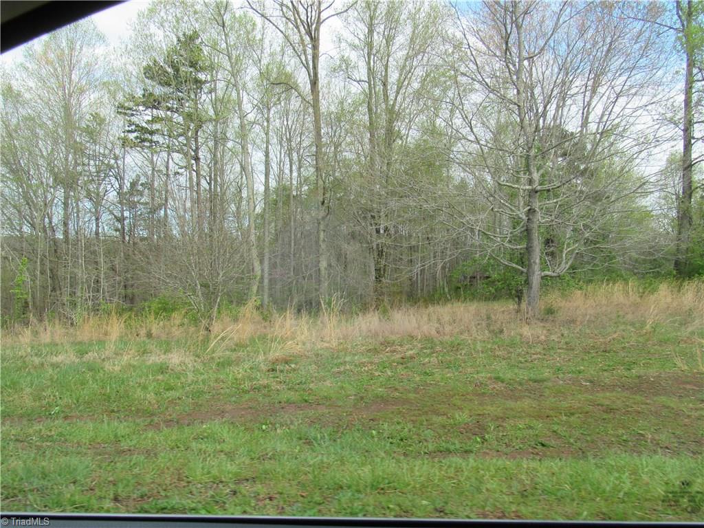 8-acres Cromer Road King, NC 27021 - Photo 17 of 17
