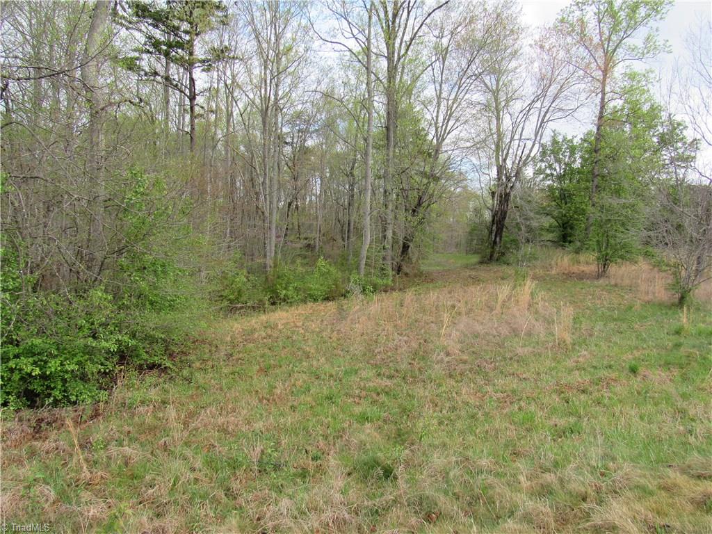 8-acres Cromer Road King, NC 27021 - Photo 3 of 17