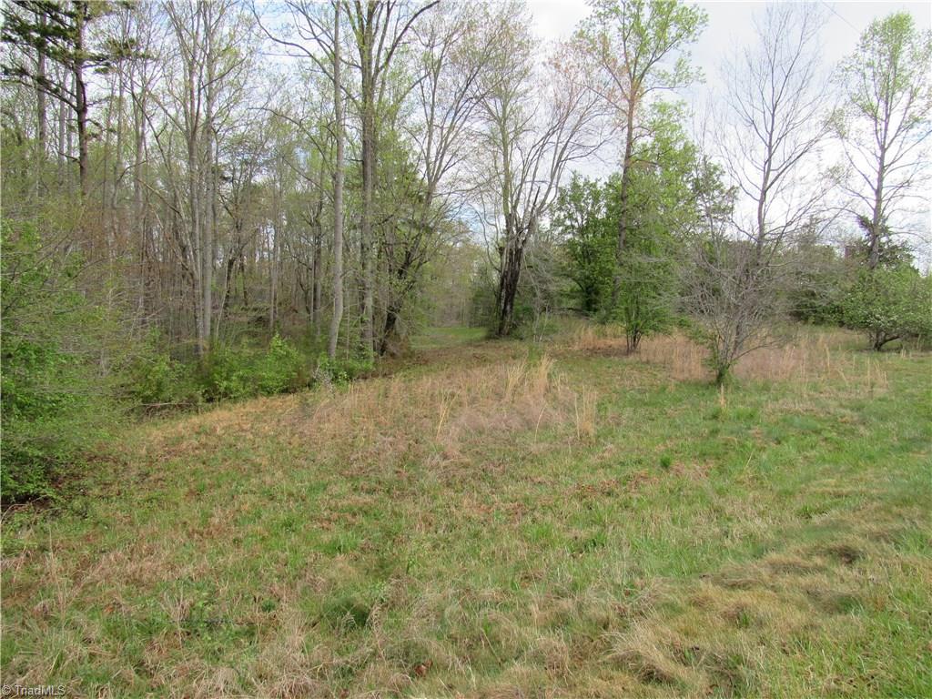 8-acres Cromer Road King, NC 27021 - Photo 4 of 17