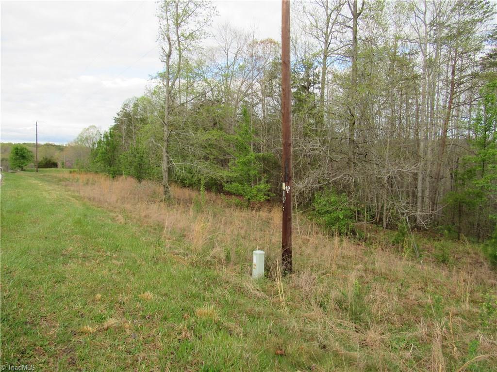 8-acres Cromer Road King, NC 27021 - Photo 5 of 17