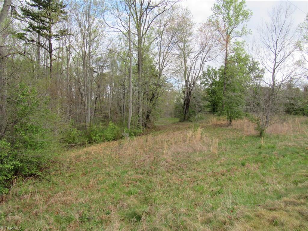 8-acres Cromer Road King, NC 27021 - Photo 6 of 17