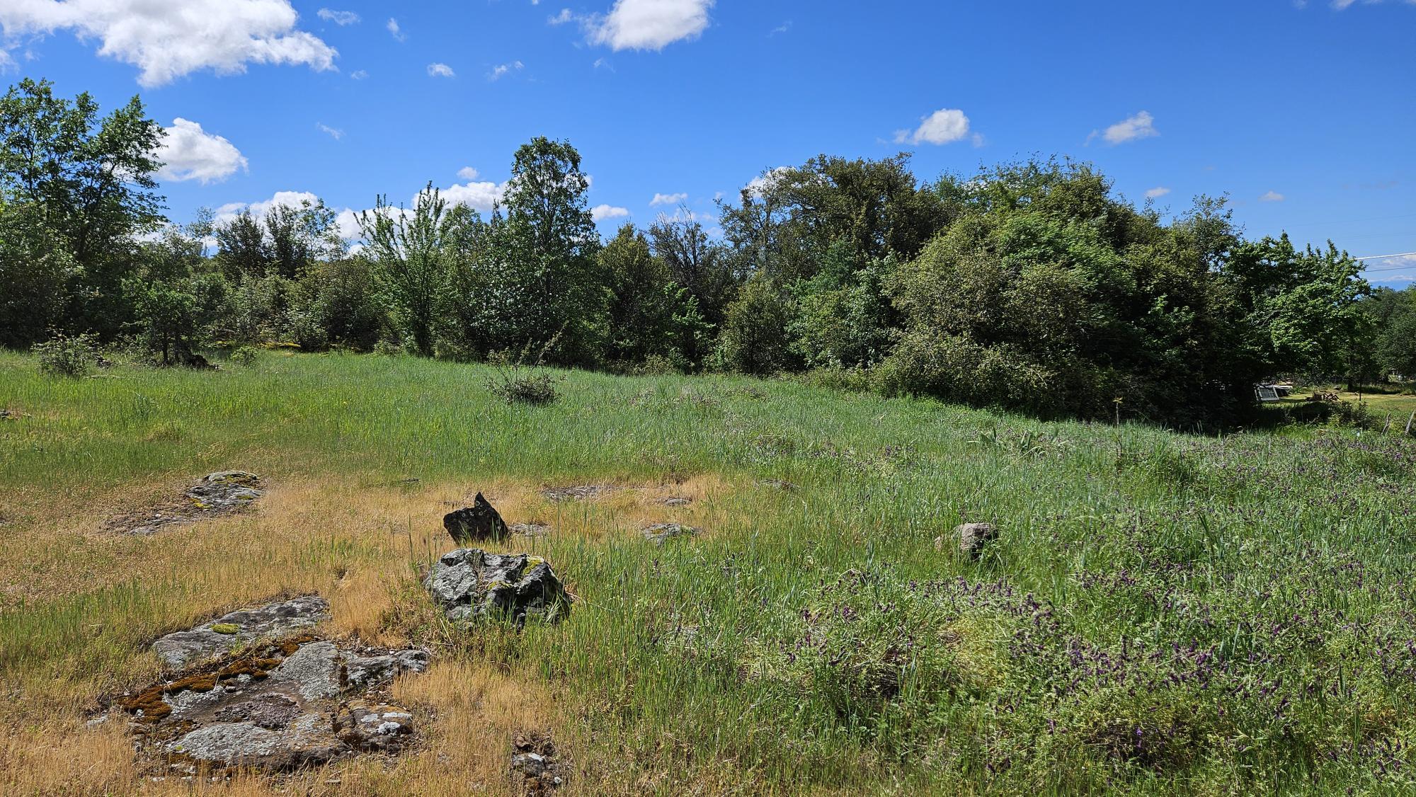 Lot B South Power House Road Manton, CA 96059 - Photo 4 of 13 20260402_121412