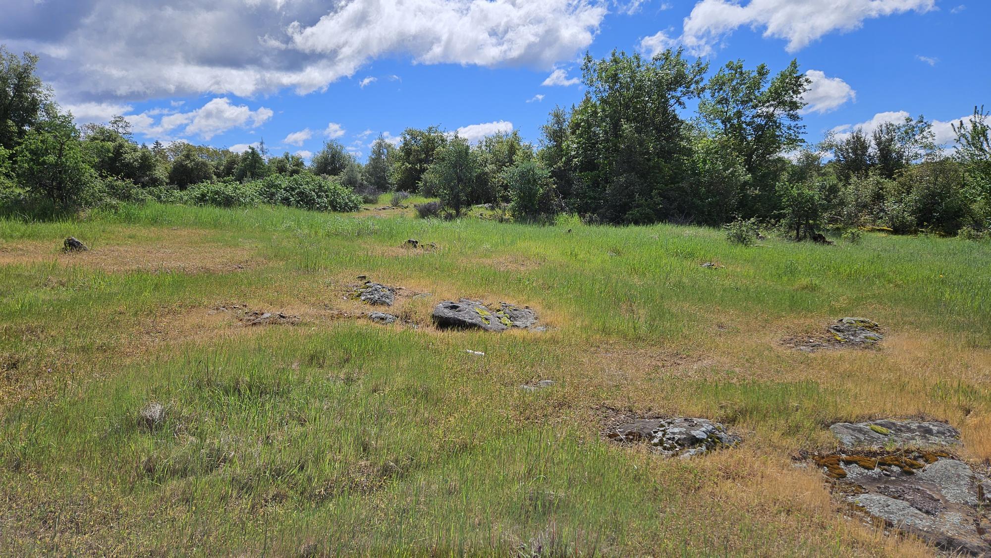 Lot B South Power House Road Manton, CA 96059 - Photo 5 of 13 20260402_121409