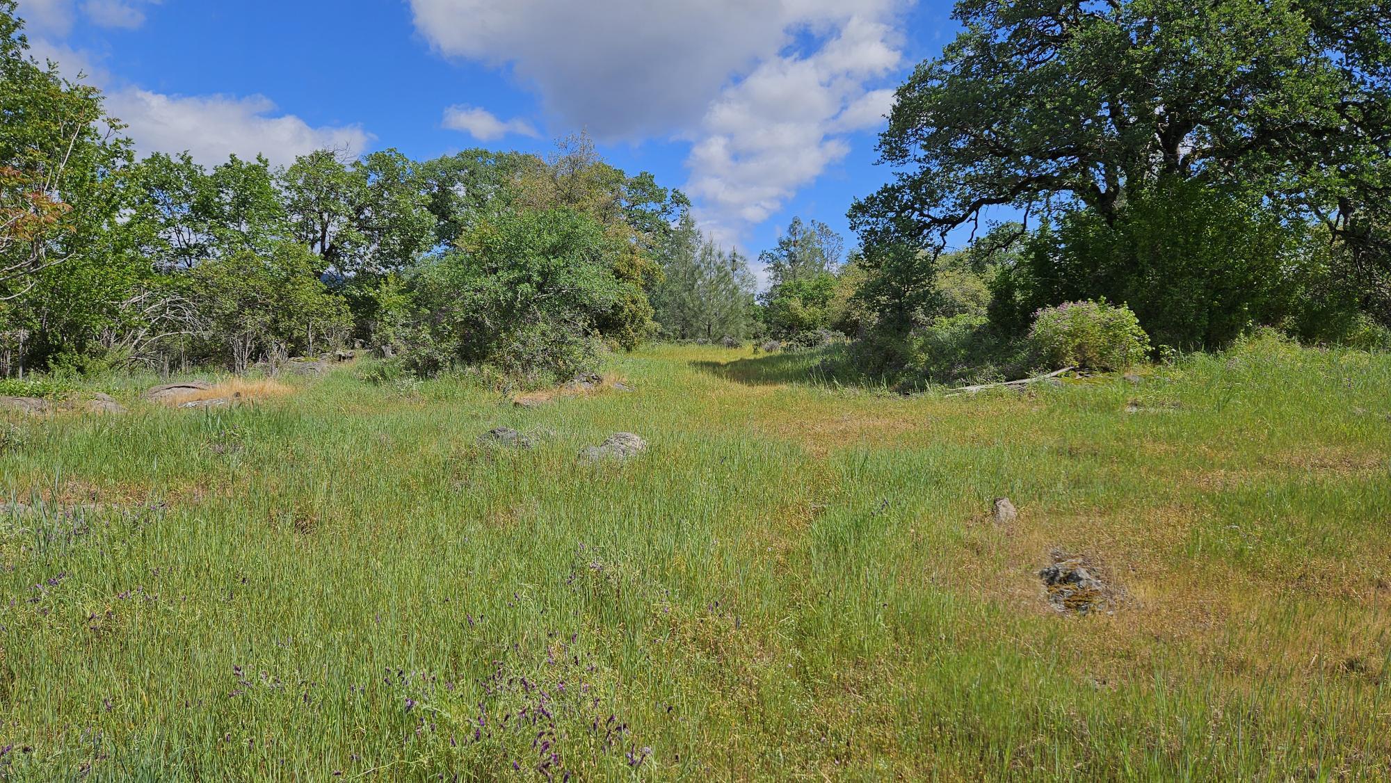 Lot B South Power House Road Manton, CA 96059 - Photo 6 of 13 20260402_121405