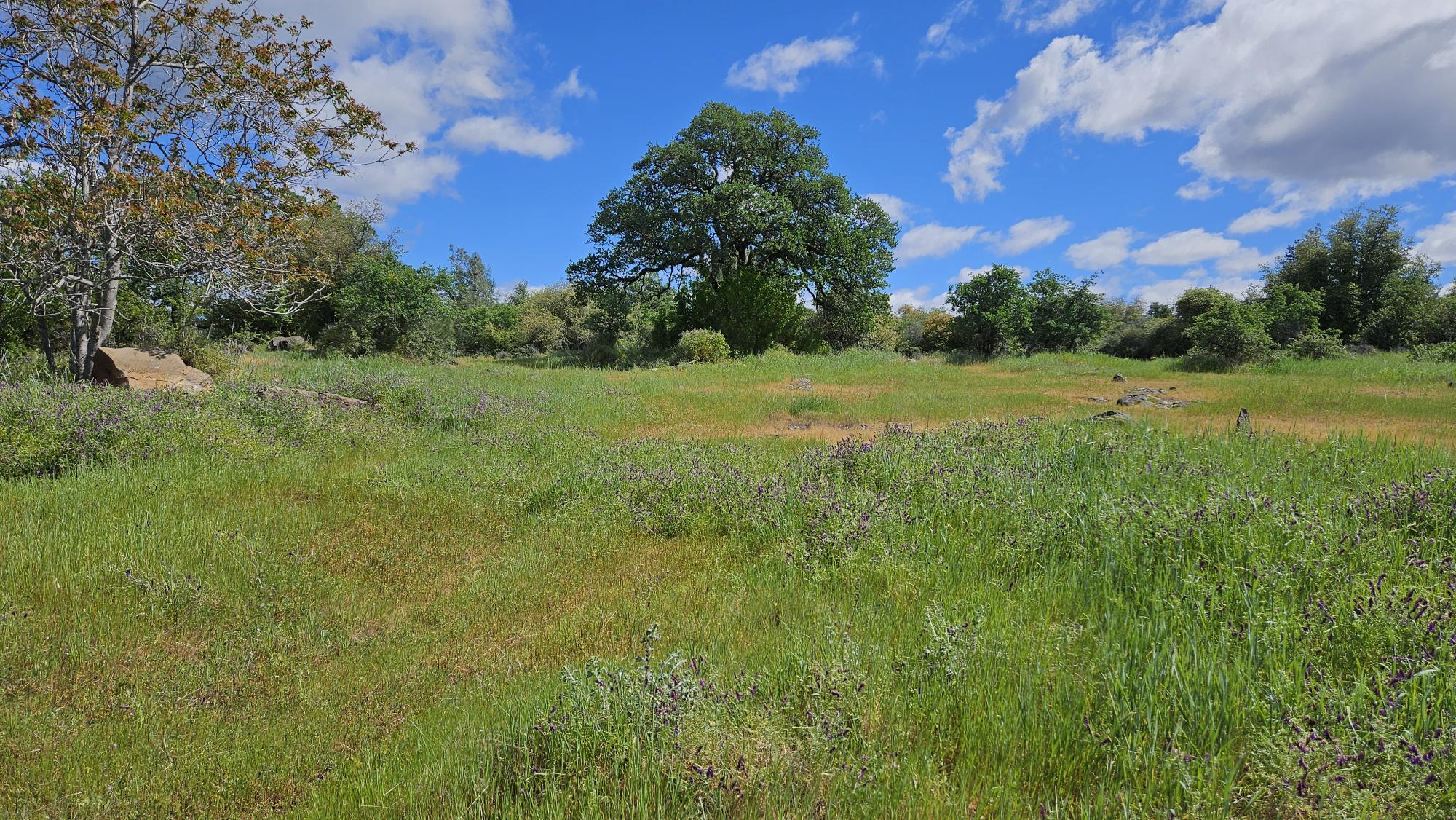 Lot B South Power House Road Manton, CA 96059 - Photo 7 of 13 20260402_121336
