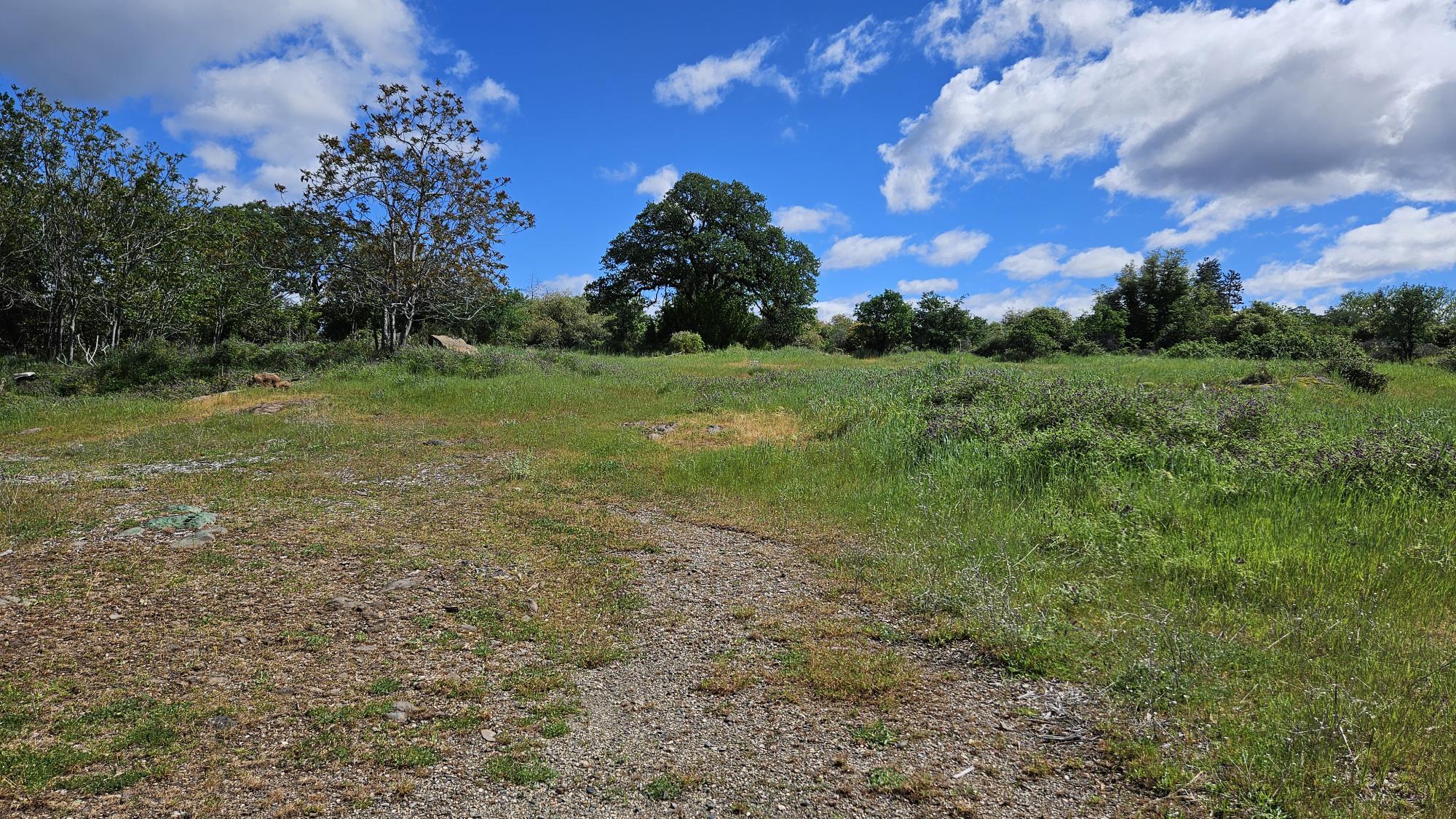 Lot B South Power House Road Manton, CA 96059 - Photo 8 of 13 20260402_121252