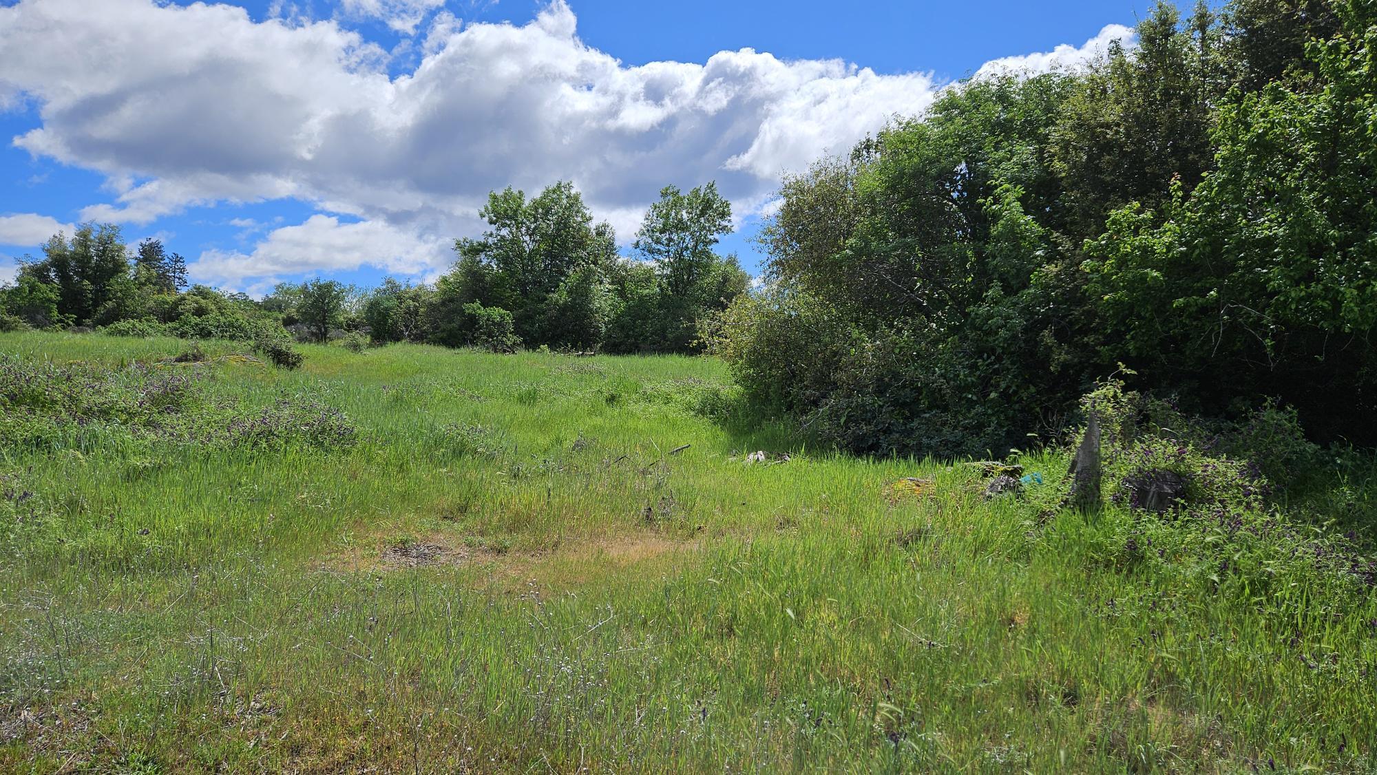 Lot B South Power House Road Manton, CA 96059 - Photo 9 of 13 20260402_121248