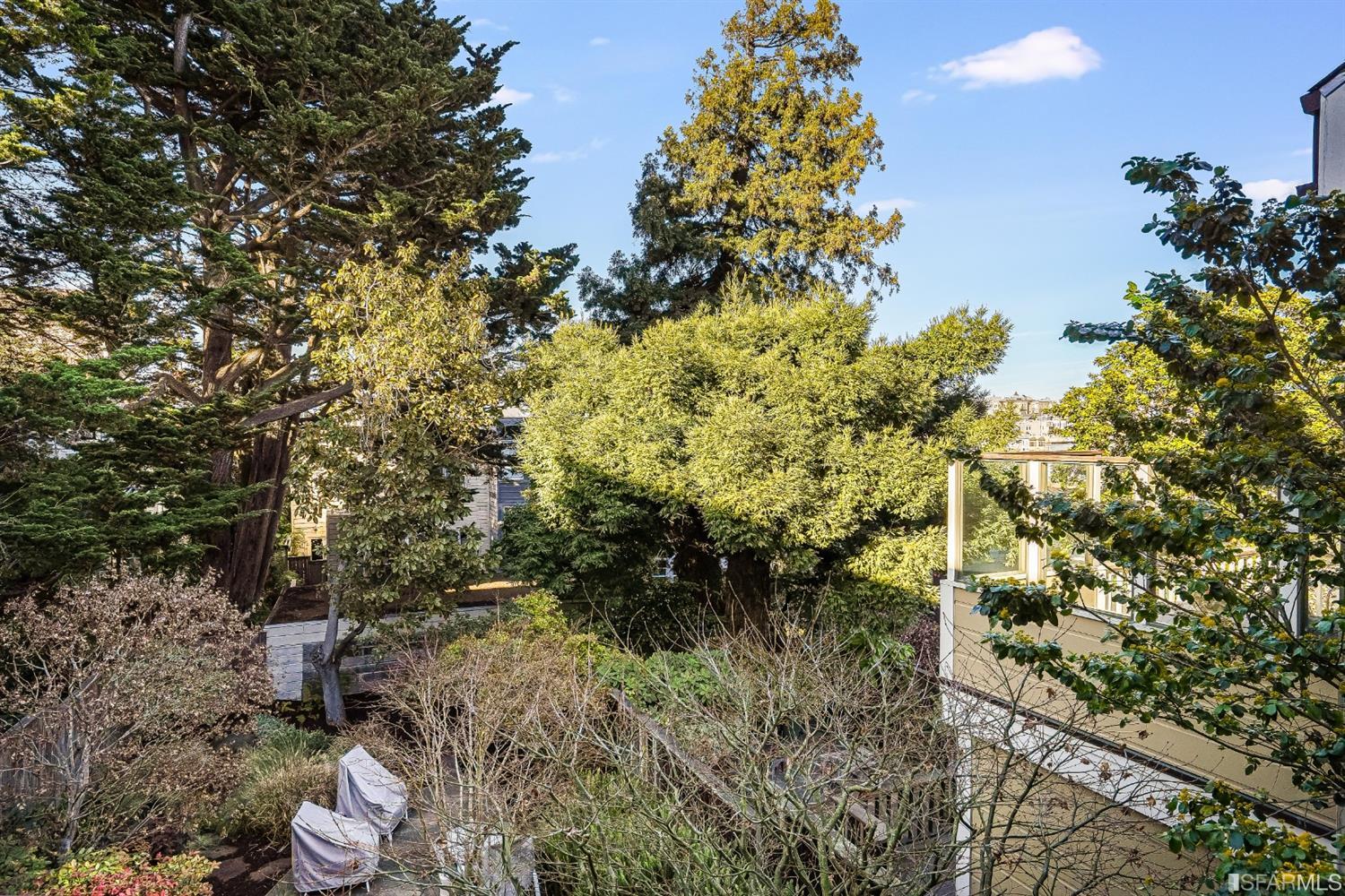 720 Waller Street San Francisco, CA 94117 - Photo 41 of 44 a view of a garden with plants
