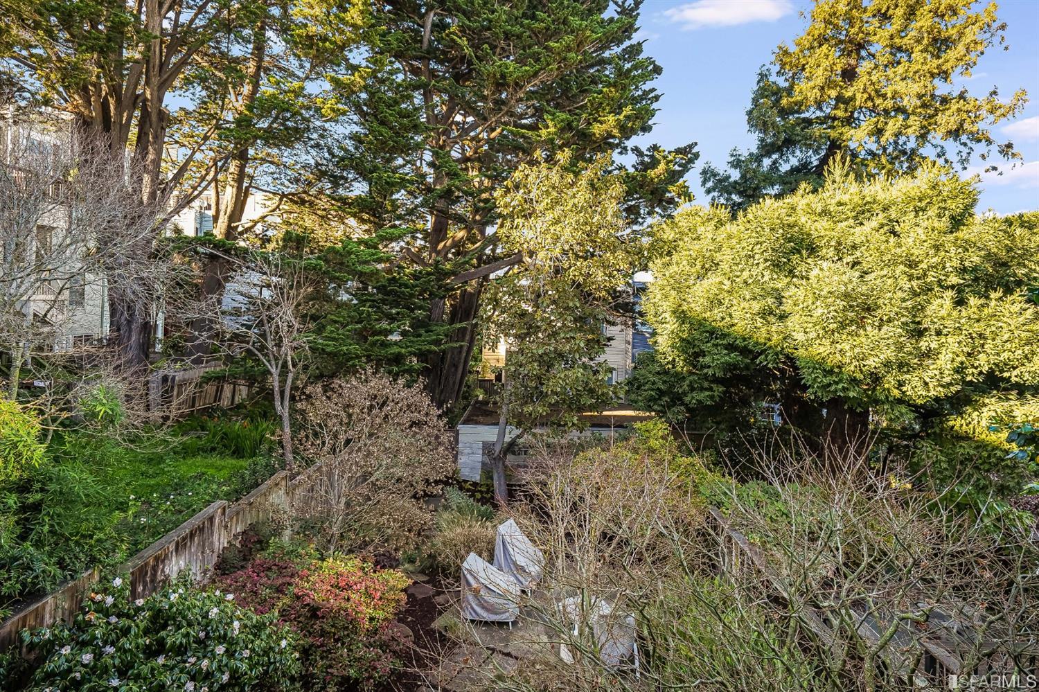 720 Waller Street San Francisco, CA 94117 - Photo 42 of 44 a view of a forest with trees