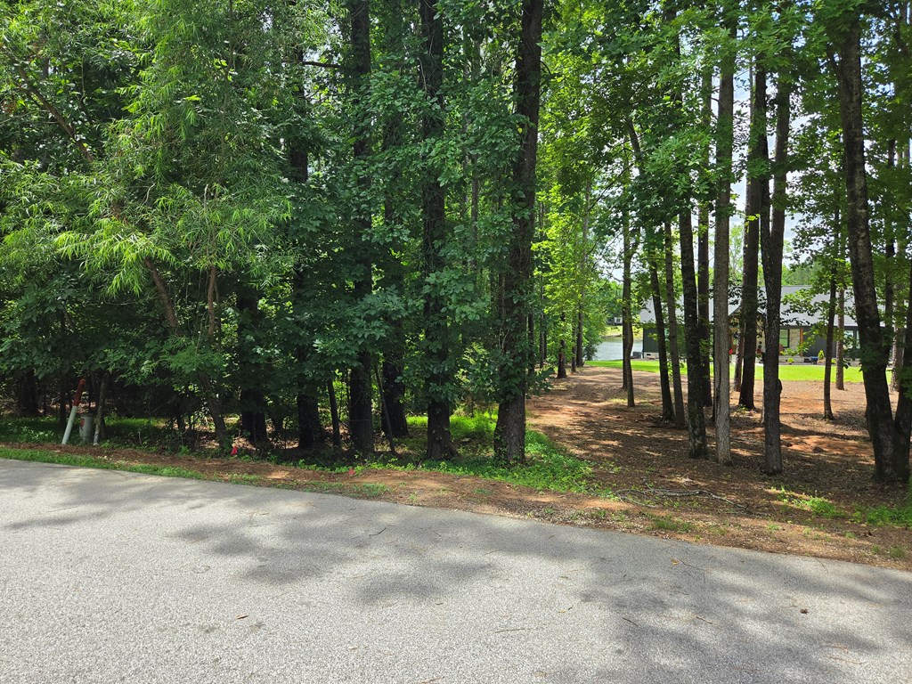 110 Long Point Road Hodges, SC 29653 - Photo 5 of 11