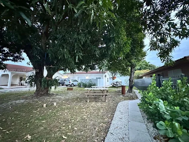 a view of a yard with plants and a large tree