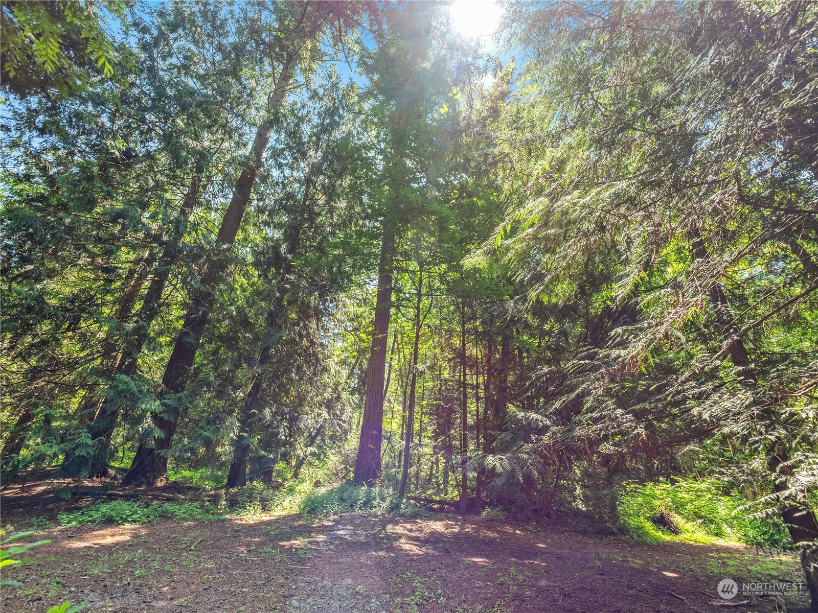 12602 Marine Drive, Tulalip, WA 98271 Compass