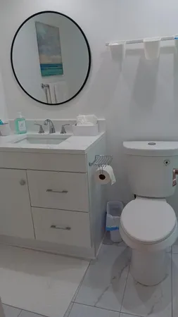 a bathroom with a toilet a sink and mirror